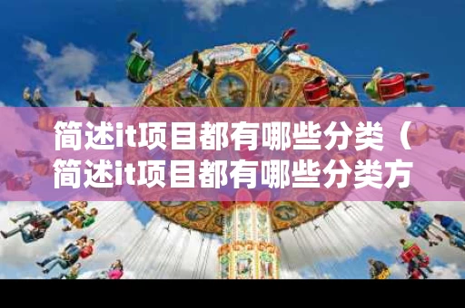 简述it项目都有哪些分类（简述it项目都有哪些分类方法）