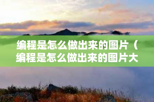 编程是怎么做出来的图片（编程是怎么做出来的图片大全）