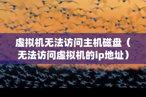 虚拟机无法访问主机磁盘（无法访问虚拟机的ip地址）