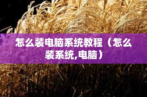 怎么装电脑系统教程（怎么装系统,电脑）