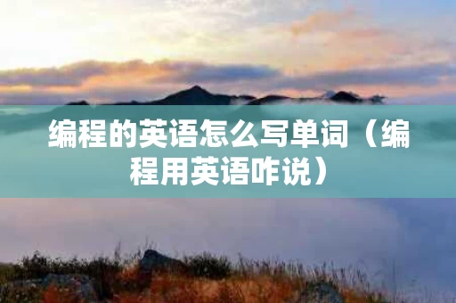 编程的英语怎么写单词（编程用英语咋说）