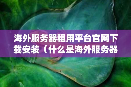 海外服务器租用平台官网下载安装（什么是海外服务器ip）