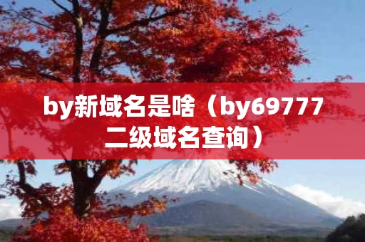 by新域名是啥（by69777二级域名查询）
