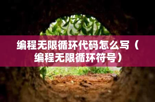 编程无限循环代码怎么写（编程无限循环符号）