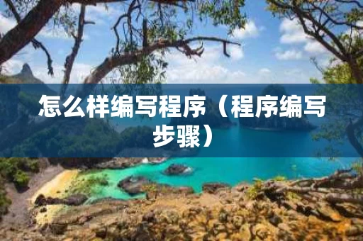 怎么样编写程序（程序编写步骤）
