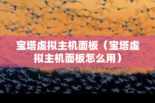 宝塔虚拟主机面板（宝塔虚拟主机面板怎么用）