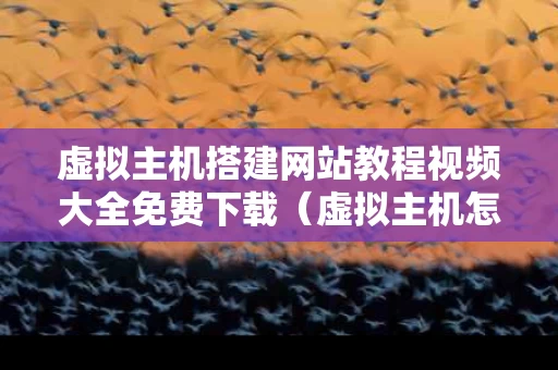 虚拟主机搭建网站教程视频大全免费下载（虚拟主机怎么搭建服务器）