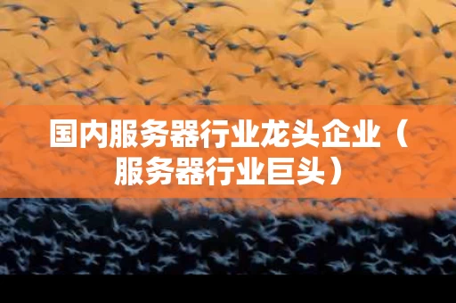 国内服务器行业龙头企业（服务器行业巨头）