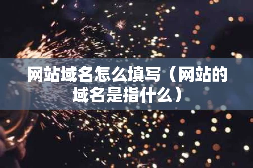 网站域名怎么填写（网站的域名是指什么）