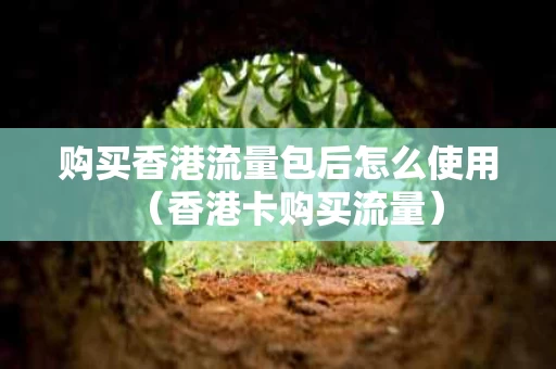 购买香港流量包后怎么使用（香港卡购买流量）