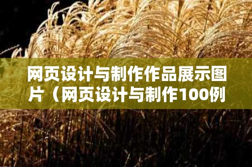 网页设计与制作作品展示图片（网页设计与制作100例）