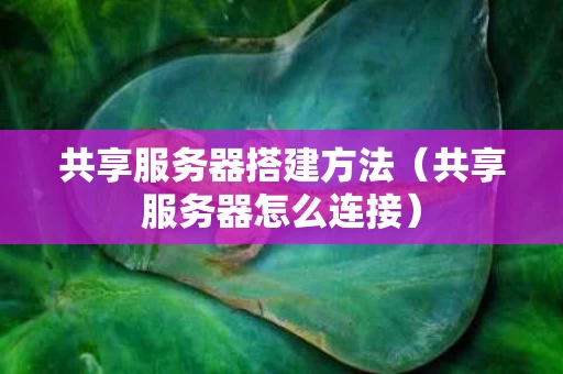 共享服务器搭建方法（共享服务器怎么连接）