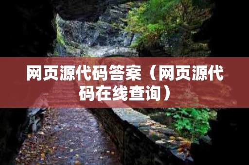 网页源代码答案（网页源代码在线查询）