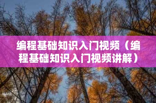 编程基础知识入门视频（编程基础知识入门视频讲解）
