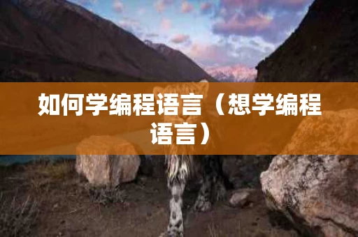 如何学编程语言（想学编程语言）
