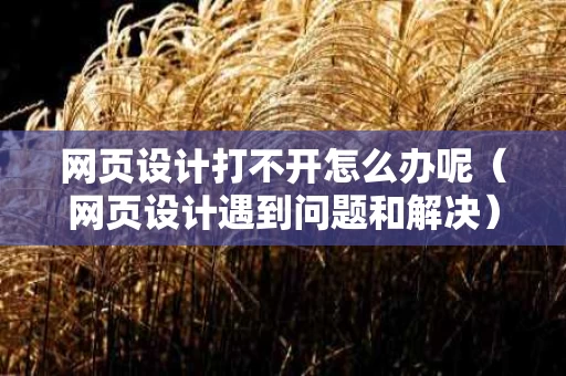 网页设计打不开怎么办呢（网页设计遇到问题和解决）