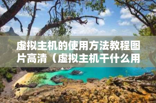 虚拟主机的使用方法教程图片高清（虚拟主机干什么用的）