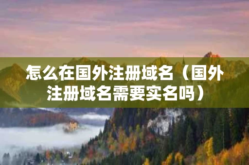 怎么在国外注册域名（国外注册域名需要实名吗）