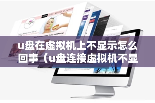 u盘在虚拟机上不显示怎么回事（u盘连接虚拟机不显示）