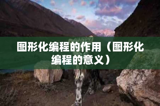 图形化编程的作用（图形化编程的意义）