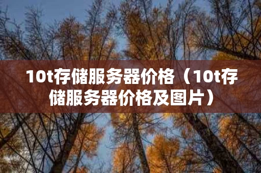 10t存储服务器价格（10t存储服务器价格及图片）