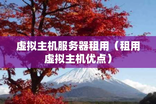 虚拟主机服务器租用（租用虚拟主机优点）
