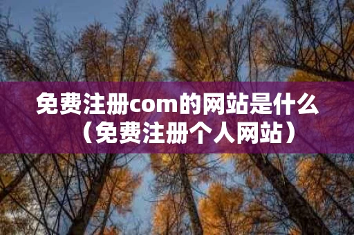 免费注册com的网站是什么（免费注册个人网站）