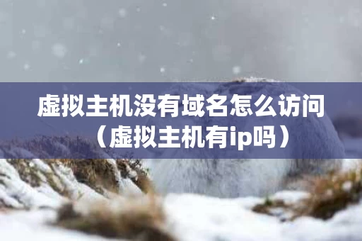 虚拟主机没有域名怎么访问（虚拟主机有ip吗）