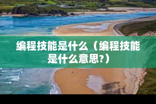 编程技能是什么（编程技能是什么意思?）