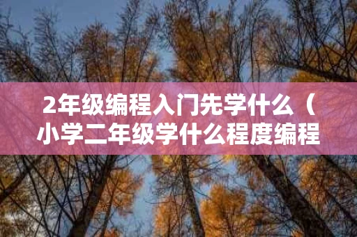 2年级编程入门先学什么（小学二年级学什么程度编程好）