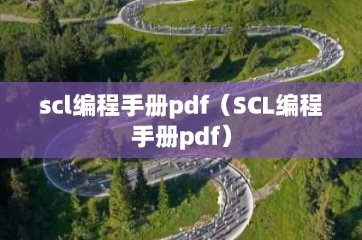scl编程手册pdf（SCL编程手册pdf）