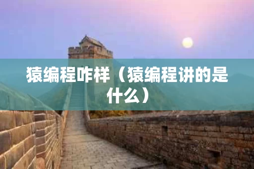 猿编程咋样（猿编程讲的是什么）