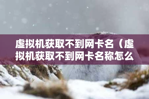 虚拟机获取不到网卡名（虚拟机获取不到网卡名称怎么办）