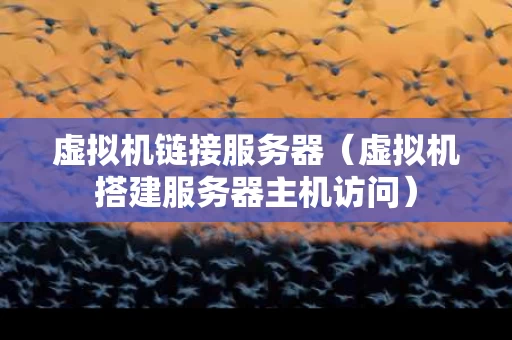 虚拟机链接服务器（虚拟机搭建服务器主机访问）