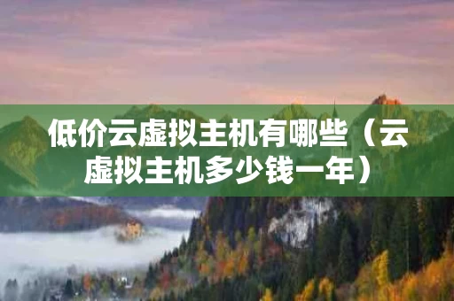 低价云虚拟主机有哪些（云虚拟主机多少钱一年）
