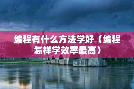 编程有什么方法学好（编程怎样学效率最高）