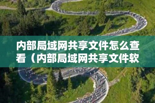 内部局域网共享文件怎么查看（内部局域网共享文件软件）