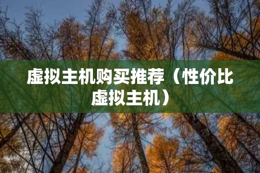 虚拟主机购买推荐（性价比虚拟主机）