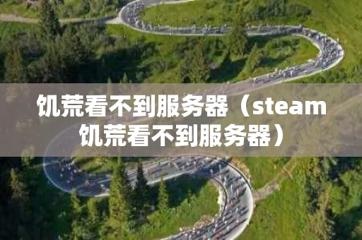 饥荒看不到服务器（steam饥荒看不到服务器）