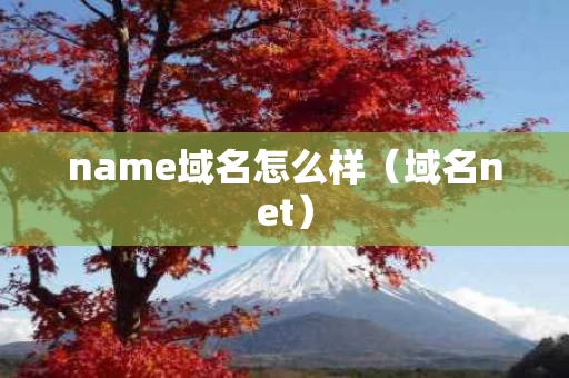 name域名怎么样（域名net）