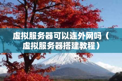 虚拟服务器可以连外网吗（虚拟服务器搭建教程）