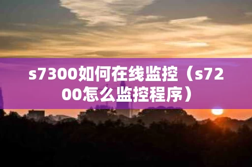 s7300如何在线监控（s7200怎么监控程序）