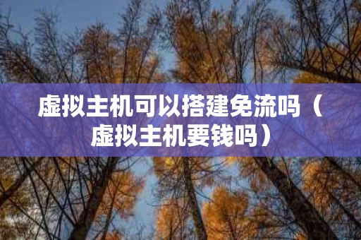 虚拟主机可以搭建免流吗（虚拟主机要钱吗）