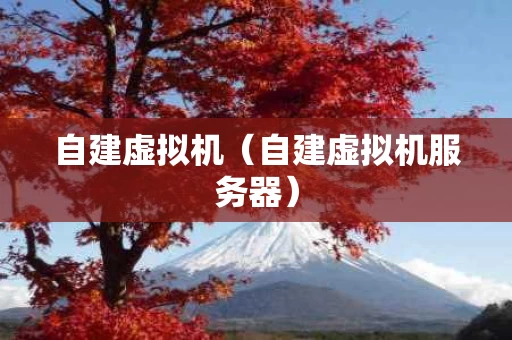自建虚拟机（自建虚拟机服务器）