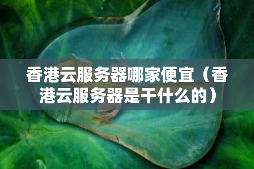 香港云服务器哪家便宜（香港云服务器是干什么的）