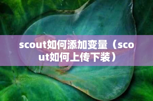 scout如何添加变量（scout如何上传下装）
