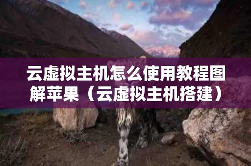 云虚拟主机怎么使用教程图解苹果（云虚拟主机搭建）