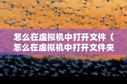 怎么在虚拟机中打开文件（怎么在虚拟机中打开文件夹）