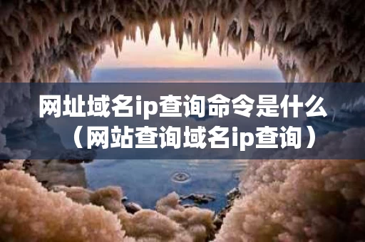 网址域名ip查询命令是什么（网站查询域名ip查询）