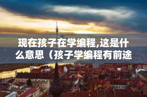 现在孩子在学编程,这是什么意思（孩子学编程有前途吗）